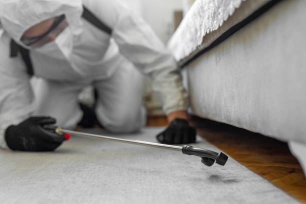Professional Pest Control technician working in Forest Ranch, CA