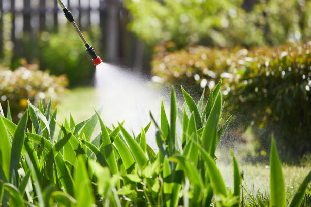 24/7 Emergency Pest Control experts in Forest Ranch, CA