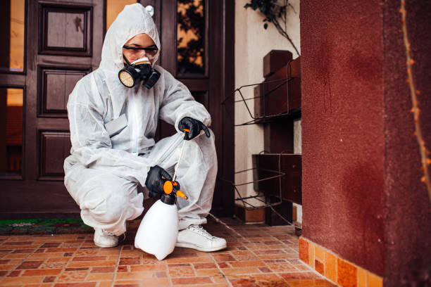 Reliable Pest Control contractor in Forest Ranch, CA by Nex Pest Control