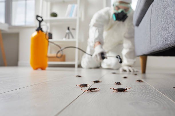 Affordable Pest Control solutions in Forest Ranch, CA